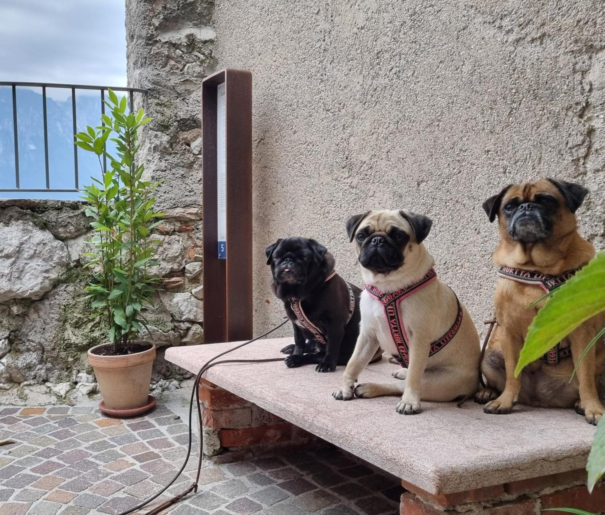 Locanda Al Castelletto Tremosine 외부 사진